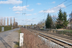 riekdahl_richtung_bentwisch