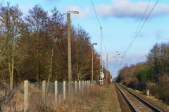 altheide3.jpg