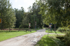 bue_altheide_waldweg_2010_09_15_009