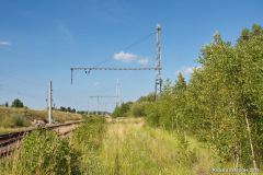Bauarbeiten Bahnhof Bentwisch - Bild 11