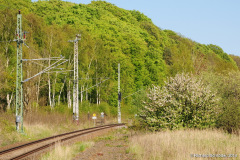 Streckengleis nach Binz 2