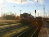 120-120-1-lietzow-r252gen-04112007-747133