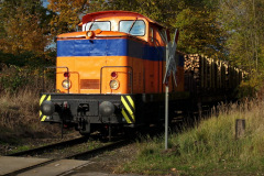 rfh-lok-v60-nr-1-unterwegs-am-31-oktober-2009-mit-einem-holzzug-in-rostock-bramow