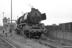 barthalt_4.jpg