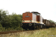 barthalt_11.jpg