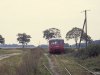 772 116-0 in Behrenwalde mit Ladegleis