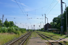 bentwisch5.jpg