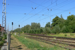 bentwisch6.jpg