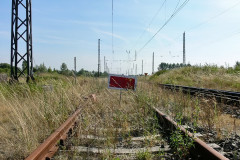 bentwisch8.jpg