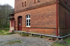 Buchenhorst im Jahr 2012