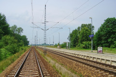 buchenh1