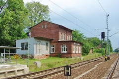 buchenh2