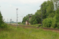 buchenh4