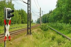 buchenh6