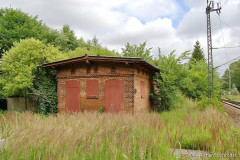 buchenh_12.jpg