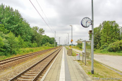 buchenh_13.jpg