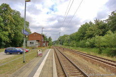 buchenh_14.jpg