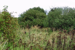 MEDION DIGITAL CAMERA