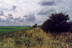 MEDION DIGITAL CAMERA