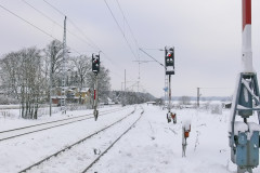 gelb1.jpg