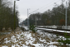 Ehemalige Weiche zum Gütergleis in Gelbensande
