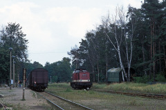 Bahnhof Graal-Müritz Bahnsteig 17.08.1990
