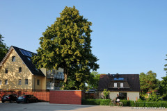 Blick in Richtung Diehagen, Wustrow - ehemalges Lokumlaufgleis