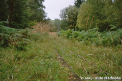 Bahndamm Hinrichshagen