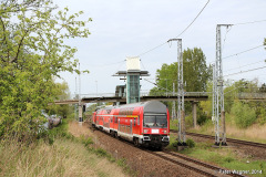 dabbuzfa-034-in-rostock-marienehe-2