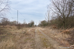 Ehemaliges Planum in Marienehe