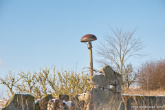 Pilzlampe