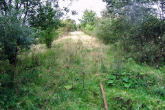MEDION DIGITAL CAMERA