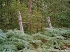 rsgmalt7.jpg