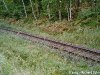 rsgmalt8.jpg