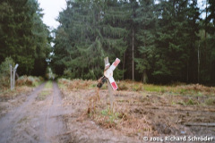 rsgmbau_a7.jpg