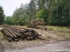 rsgmbau_a8.jpg