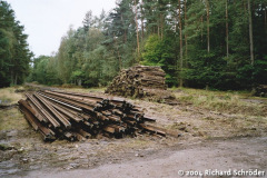 rsgmbau_a8.jpg