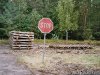 rsgmbau_a9.jpg