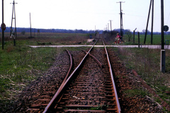 19950423_koitenhagen