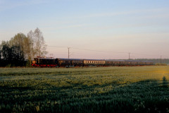 kummerowalt1.jpg