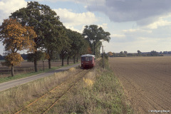 Triebwagen zwischen Landsdorf und Tribsees Landstraße - 18.10.1994