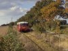 Triebwagen zwischen Landsdorf und Tribsees Landstraße - 18.10.1994