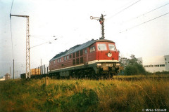 langendorfalt_1.jpg