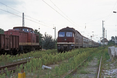 Martensdorf 17.08.1990 Bild 2