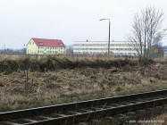 moench5.jpg
