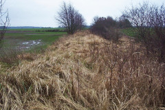 neu-seehagen3.jpg