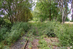 putnitz_15.jpg