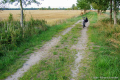 putnitz_22.jpg