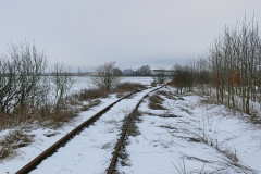 putnitz_4.jpg