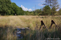 putnitz_22.jpg